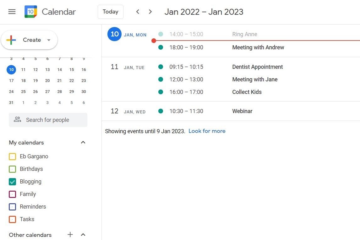 Google Calendar Agenda View